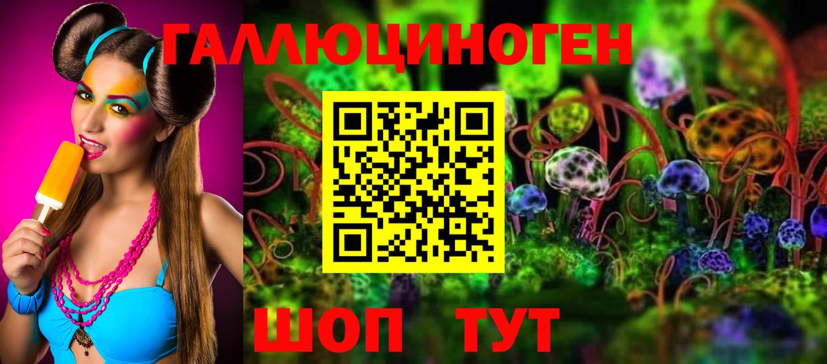 Псилоцибиновые грибы Psilocybine cubensis Котовск