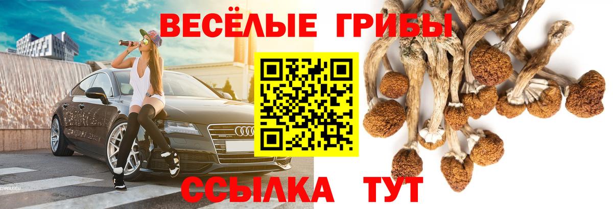 Котовск  Псилоцибиновые грибы GOLDEN TEACHER  где продают наркотики  Вход с VPN 