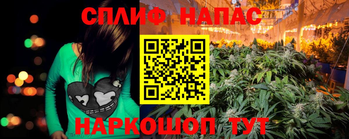 Бошки марихуана гибрид  МАРИХУАНА тримм  Котовск  Вход с VPN  Бошки Шишки план 